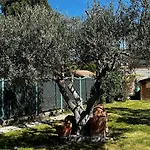 Amplio Y Comodo A 15 Minutos Del Centro Con Piscina Y Pistas De Tenis 別荘